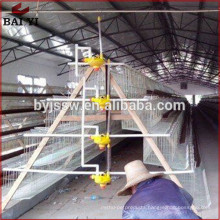 Automatic High Quality Chickne Cage For Sale